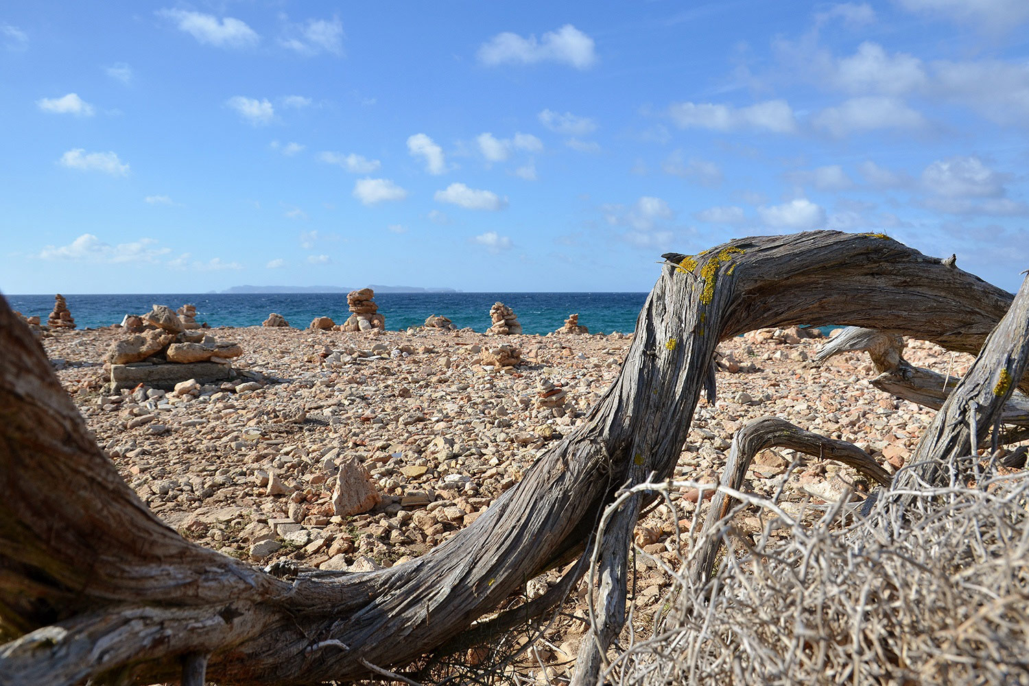 Cap de ses Salines
